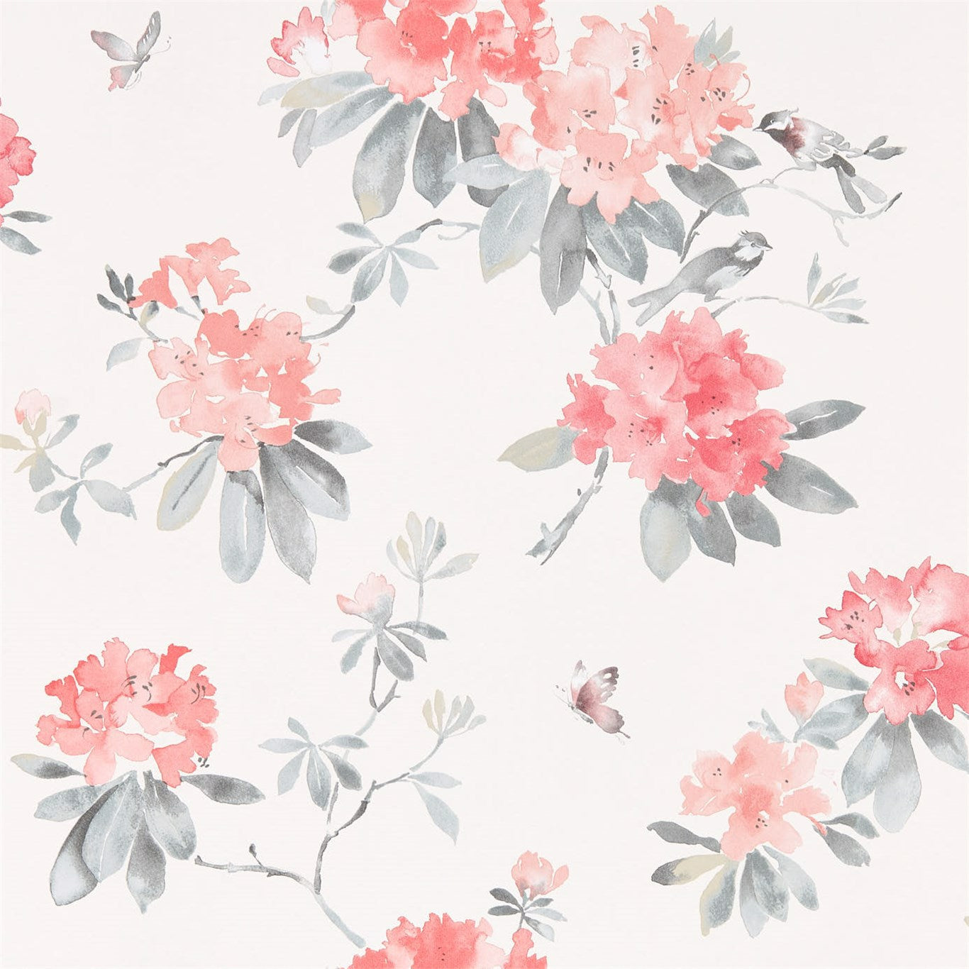 SANDERSON OUTLET Rhodera Wallpaper Classic Floral Coral,Grey   - DWAP216264