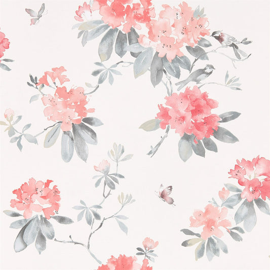 SANDERSON OUTLET Rhodera Wallpaper Classic Floral Coral,Grey   - DWAP216264