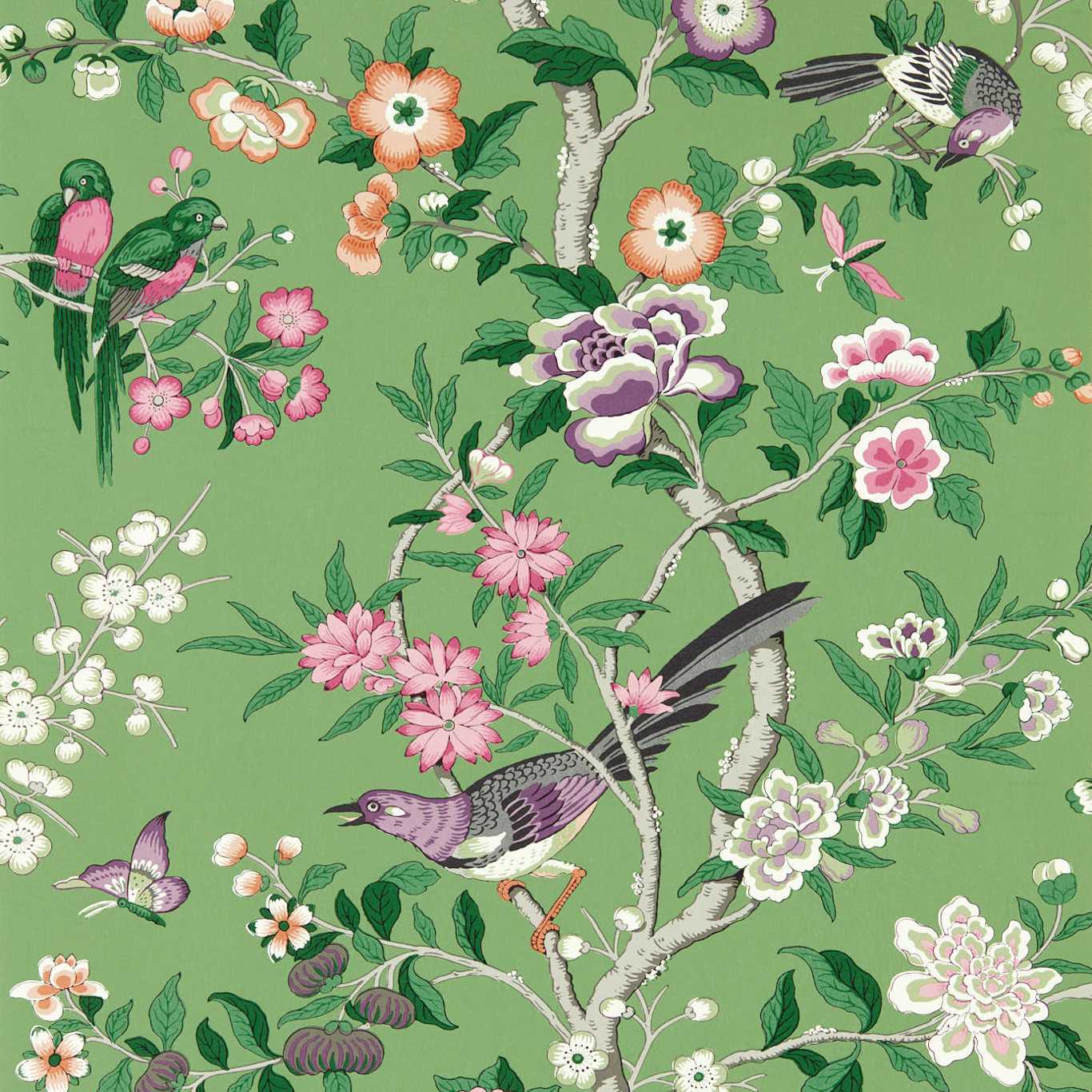 SANDERSON Chinoiserie Hall Wallpaper Leaves , Trees Chinese Green,Lotus Pink  Gravure - Wide Width Printed Wallpaper - DWAW217110