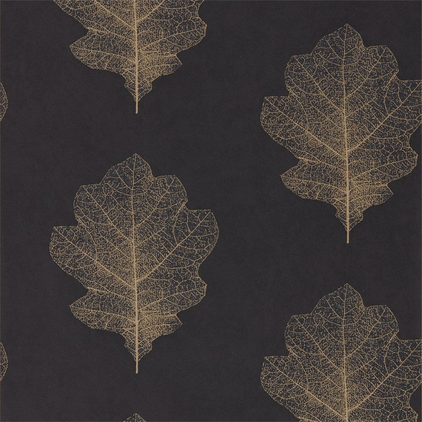 SANDERSON Oak Filigree Wallpaper Leaves , Trees Charcoal,Bronze  Rotary/Gravure Wallpaper - DWOW215700