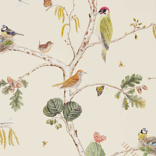 SANDERSON Woodland Chorus Wallpaper Birds Cream,Multi  Gravure Printed Wallpaper - DWOW215703