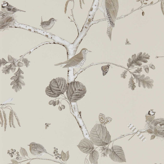 SANDERSON Woodland Chorus Wallpaper Birds Sepia,Neutral  Gravure Printed Wallpaper - DWOW215704