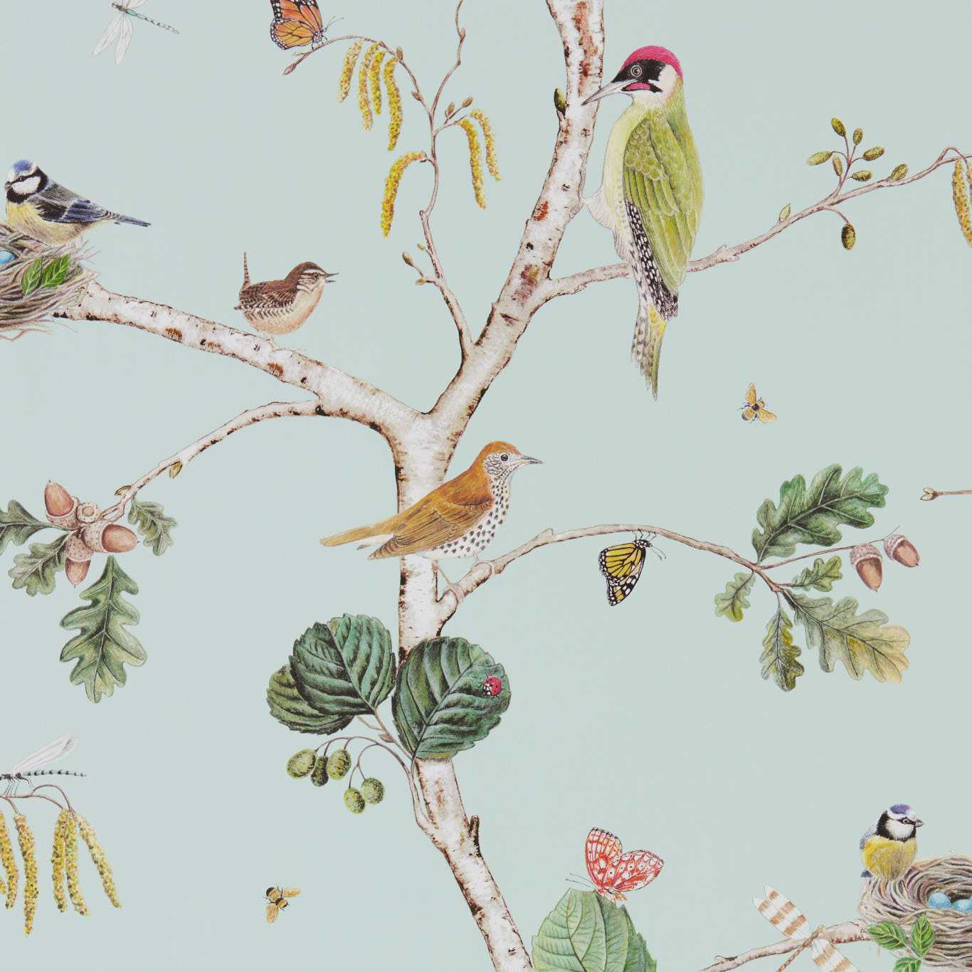 SANDERSON Woodland Chorus Wallpaper Birds Sky Blue,Multi  Gravure Printed Wallpaper - DWOW215706