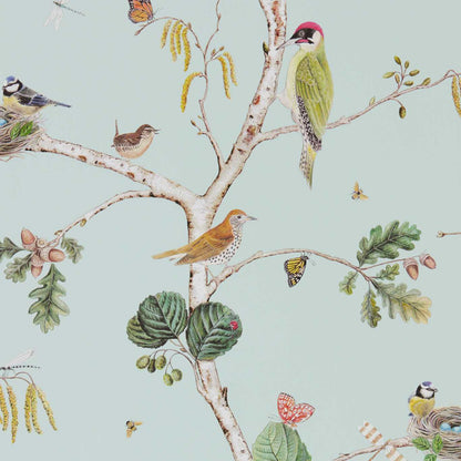 SANDERSON Woodland Chorus Wallpaper Birds Sky Blue,Multi  Gravure Printed Wallpaper - DWOW215706