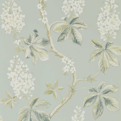Chestnut Tree wallpaper by Sanderson in grey blue and sage featuring watercolor horse chestnut blossoms with pencil detailing, luxury botanical floral designer wallcovering for cottagecore, farmhouse, and classic interiors.