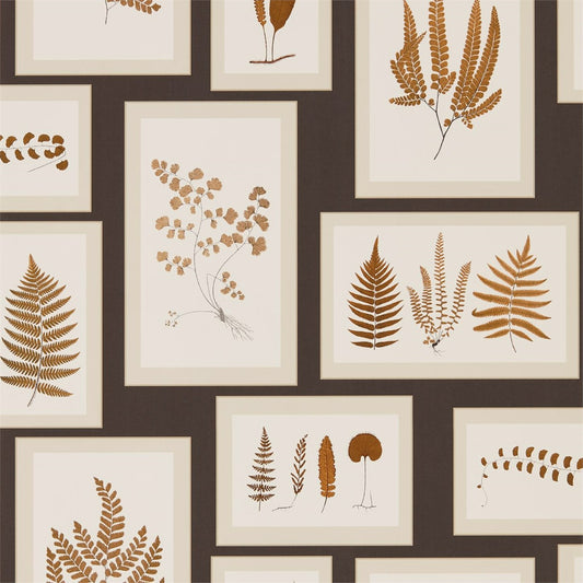 SANDERSON Fern Gallery Wallpaper Leaves , Trees Charcoal,Spice  Gravure Printed Wallpaper - DWOW215713