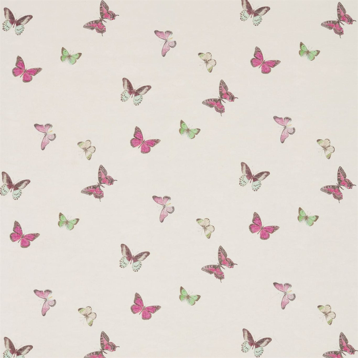 SANDERSON Butterfly Voile Fabric Animals Fuchsia,Cream   - DWOW225512