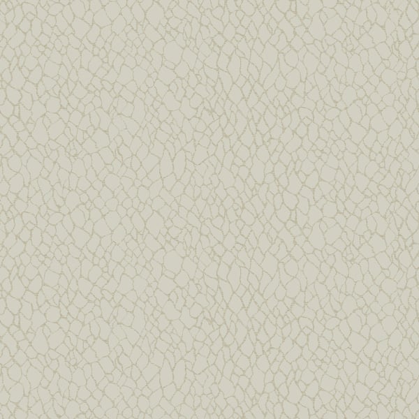 Galerie Wallcoverings Boutique Webbing Galerie Wallcoverings  Cream   - DWP0232-01