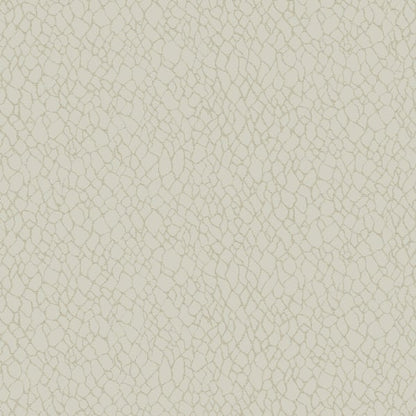 Galerie Wallcoverings Boutique Webbing Galerie Wallcoverings  Cream   - DWP0232-01