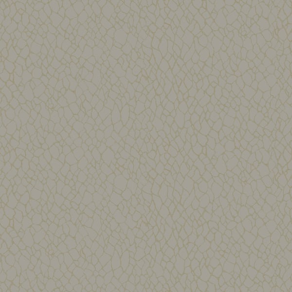 Galerie Wallcoverings Boutique Webbing Galerie Wallcoverings  Beige   - DWP0232-02