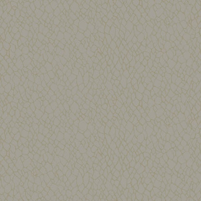 Galerie Wallcoverings Boutique Webbing Galerie Wallcoverings  Beige   - DWP0232-02