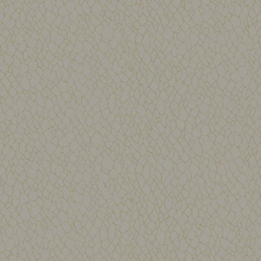 Galerie Wallcoverings Boutique Webbing Galerie Wallcoverings  Beige   - DWP0232-02