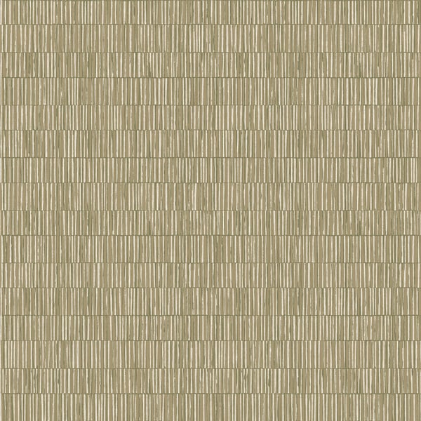 Galerie Wallcoverings Zen Bamboo Screen Galerie Wallcoverings  Green   - DWP0362-01