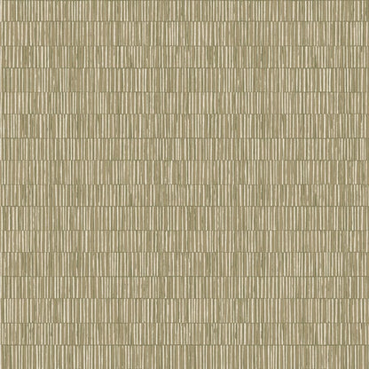 Galerie Wallcoverings Zen Bamboo Screen Galerie Wallcoverings  Green   - DWP0362-01