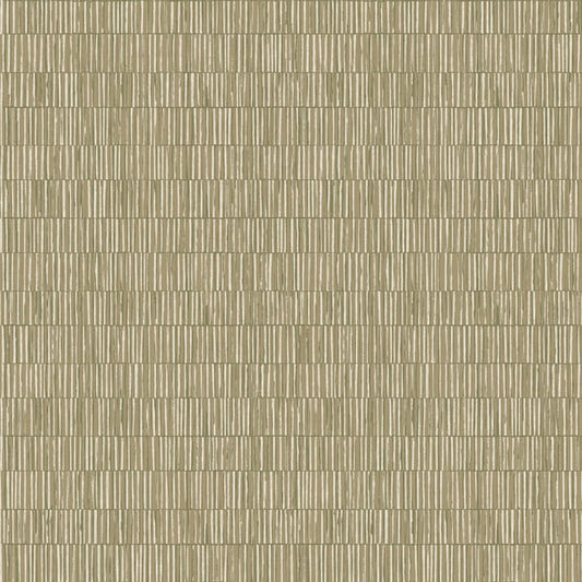 Galerie Wallcoverings Zen Bamboo Screen Galerie Wallcoverings  Green   - DWP0362-01