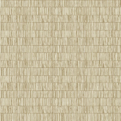 Galerie Wallcoverings Zen Bamboo Screen Galerie Wallcoverings  Bronze, Brown   - DWP0362-03