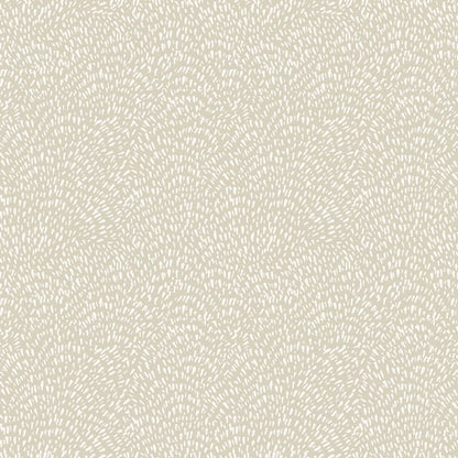 Galerie Wallcoverings Zen Fan Fleck Galerie Wallcoverings  Cream   - DWP0363-03