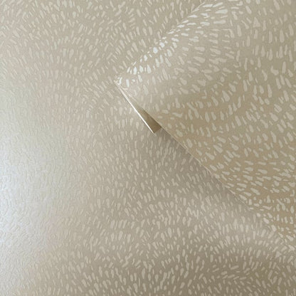 Galerie Wallcoverings Zen Fan Fleck Galerie Wallcoverings  Cream   - DWP0363-03