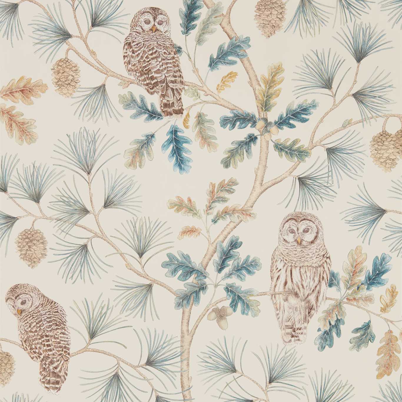 SANDERSON Owlswick Wallpaper Birds Teal  Gravure - Wide Width Printed Wallpaper - DYSI216595
