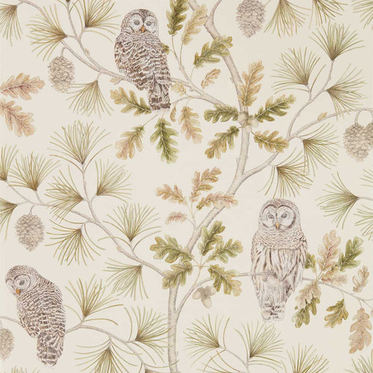 SANDERSON Owlswick Wallpaper Birds Briarwood  Gravure - Wide Width Printed Wallpaper - DYSI216597