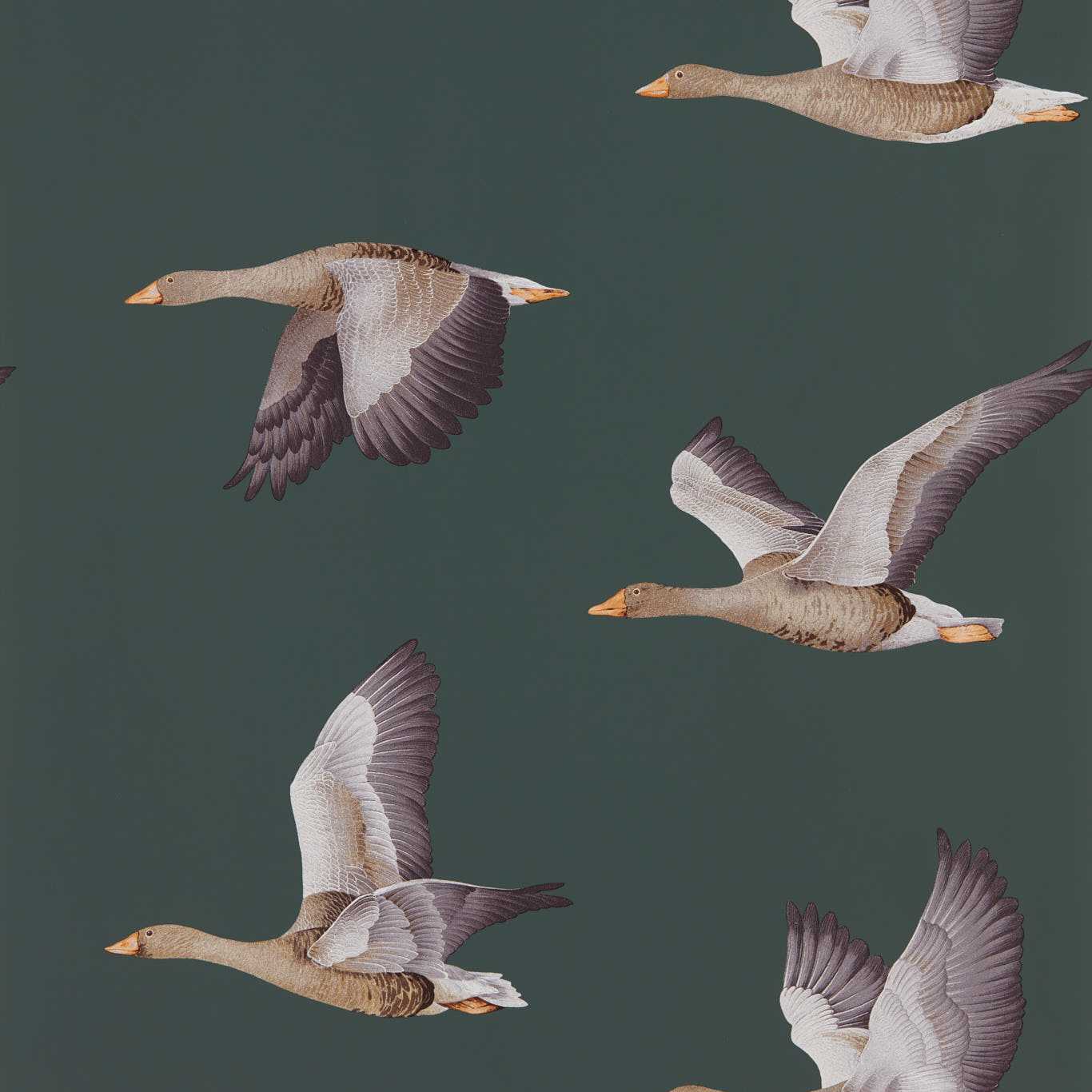 SANDERSON Elysian Geese Wallpaper Birds Amsterdam Green  Rotary/Gravure Wide Width Printed Wallpaper - DYSI216608