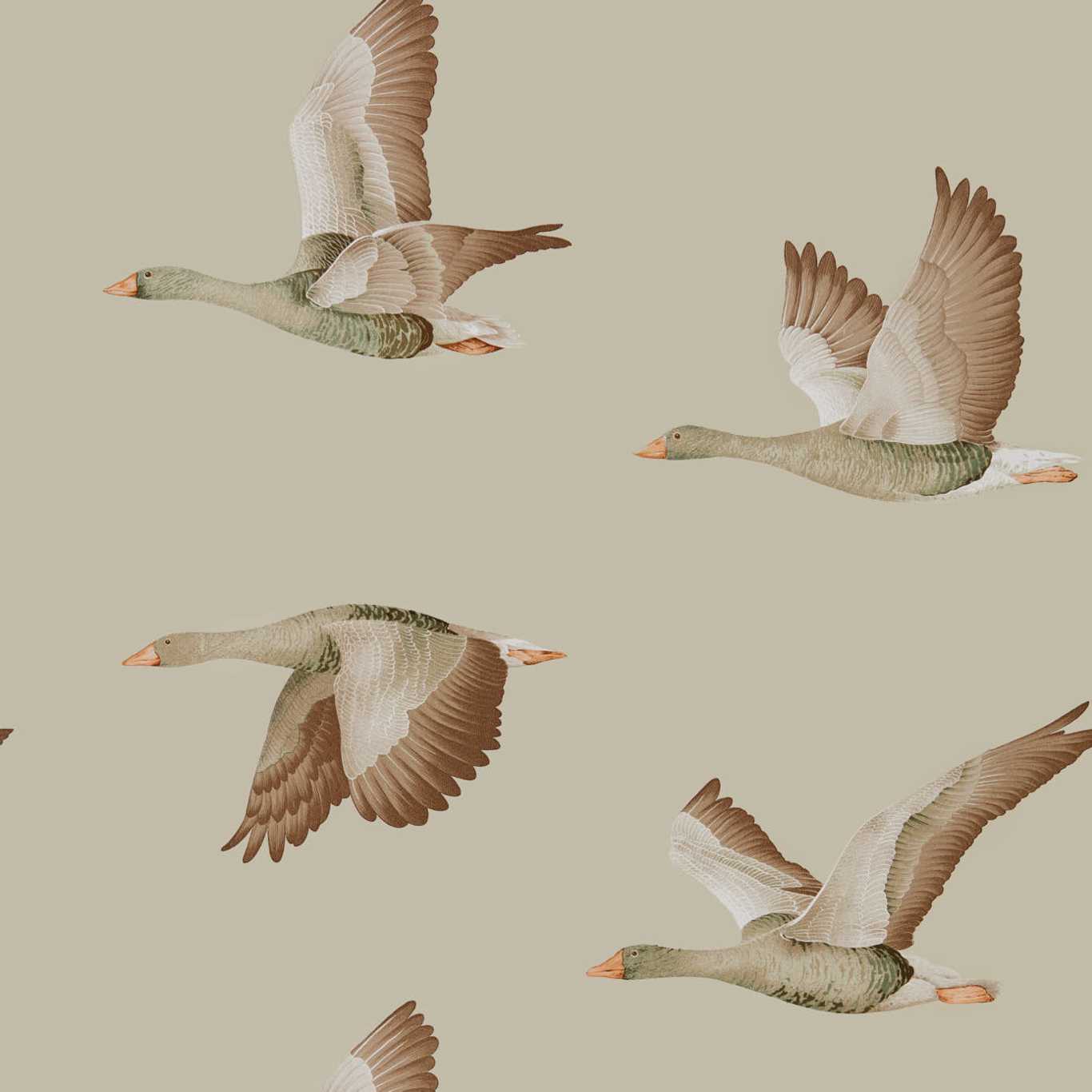 SANDERSON Elysian Geese Wallpaper Birds Briarwood  Rotary/Gravure Wide Width Printed Wallpaper - DYSI216609