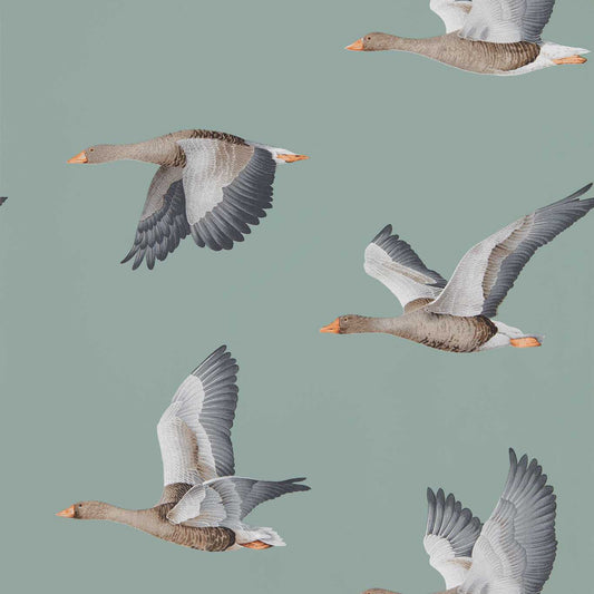 SANDERSON Elysian Geese Wallpaper Birds Blue Clay  Rotary/Gravure Wide Width Printed Wallpaper - DYSI216610
