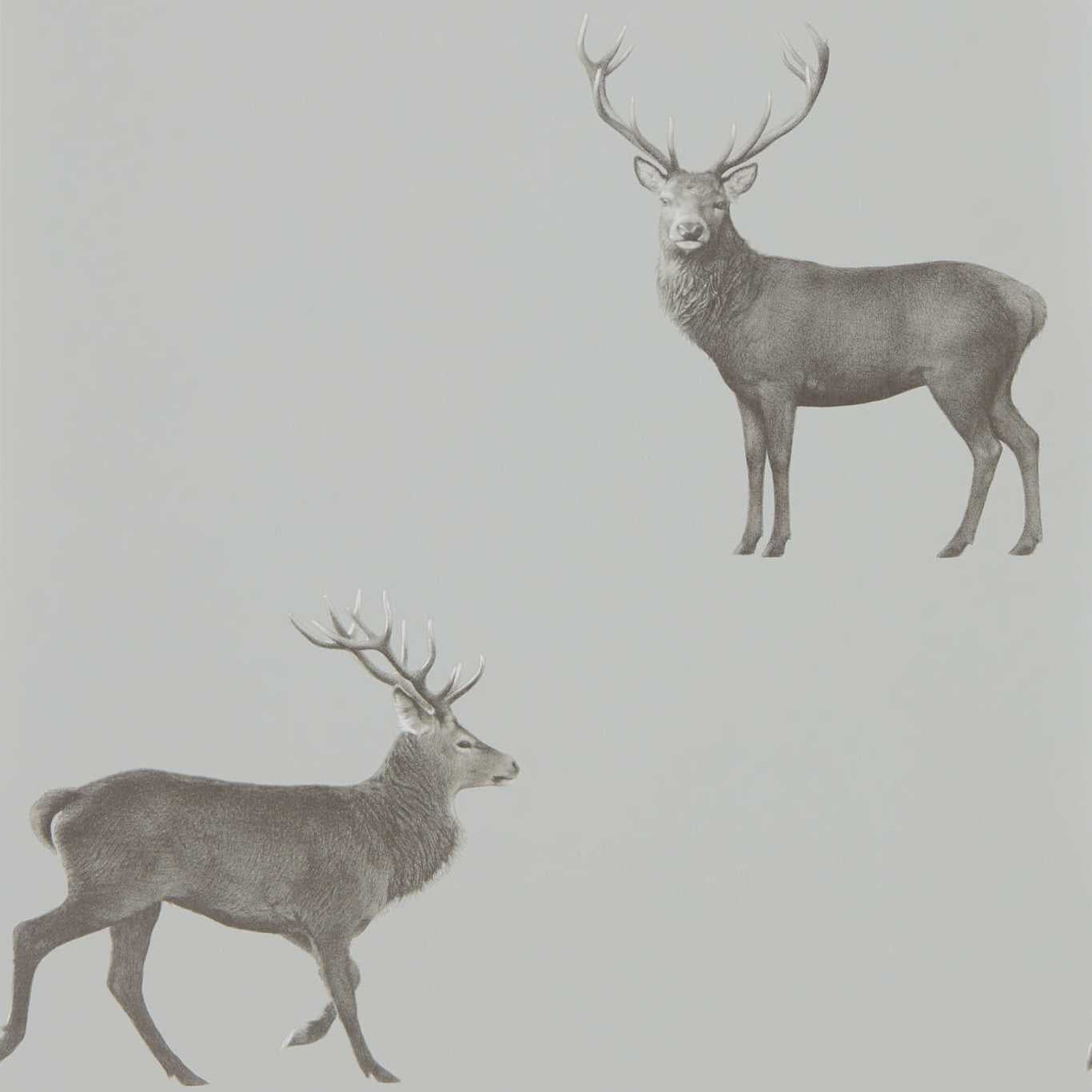 SANDERSON Evesham Deer Wallpaper Animals Silver Grey  Gravure Printed Wallpaper - DYSI216619