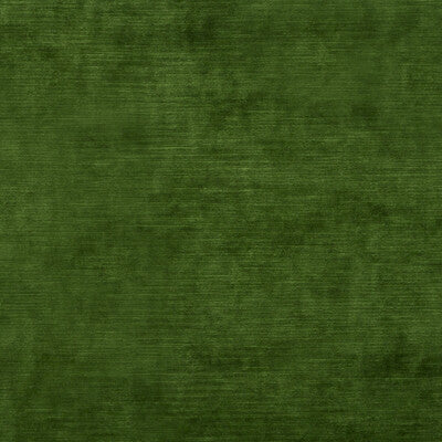 THREADS VELVET TEXTURE GREEN,,   - ED85292.785.0