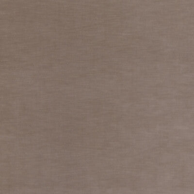 THREADS VELVET  BROWN,,BROWN   - ED85359.240.0