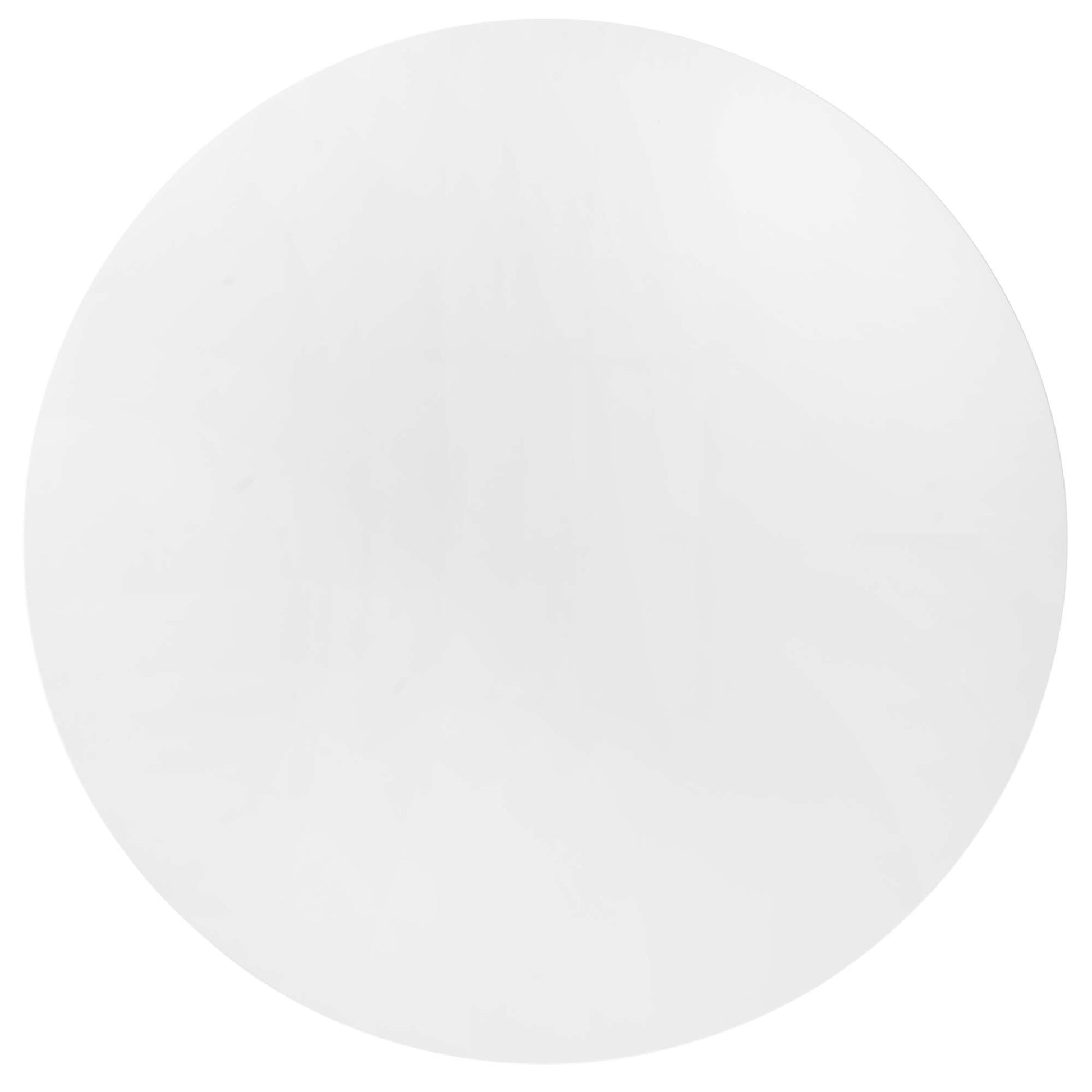 White circular disc with a smooth surface; minimalist round design for decor or display.
