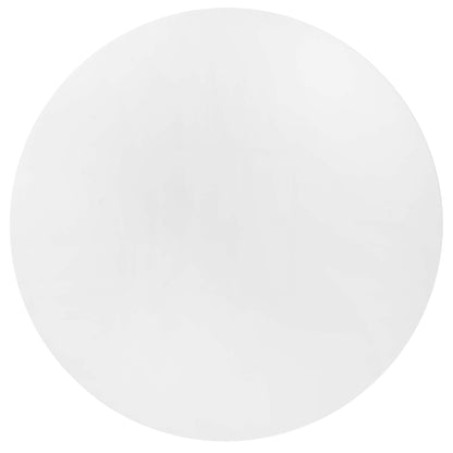 White circular disc with a smooth surface; minimalist round design for decor or display.