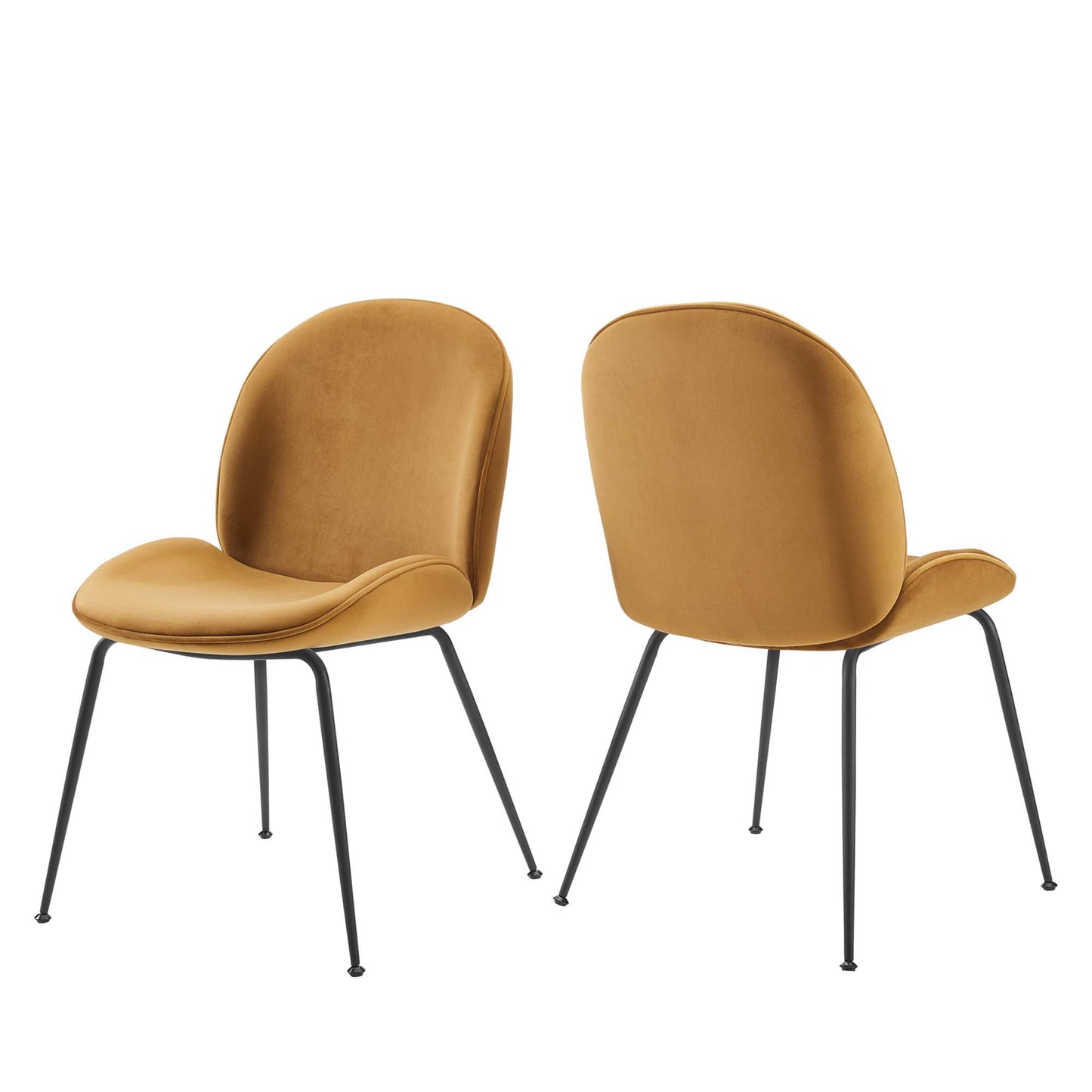 Modway - Scoop Black Powder Coated Steel Leg Performance Velvet Dining Chairs Set of 2 by Modway  Bar and Dining Dining Chairs Brown - EEI-4635-COG