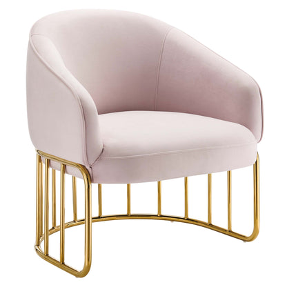 Modway Outlet Legacy Performance Velvet Armchair by Modway  Living Room Furniture Pink - EEI-5025-PNK
