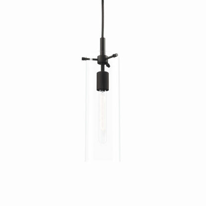 Clear glass cylinder pendant with black metal hardware & exposed Edison bulb.