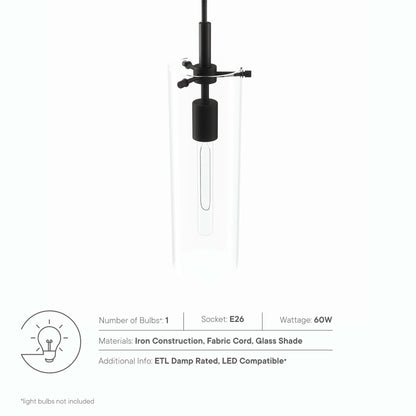 Clear glass cylindrical pendant with black metal hardware and fabric cord, vintage Edison bulb.