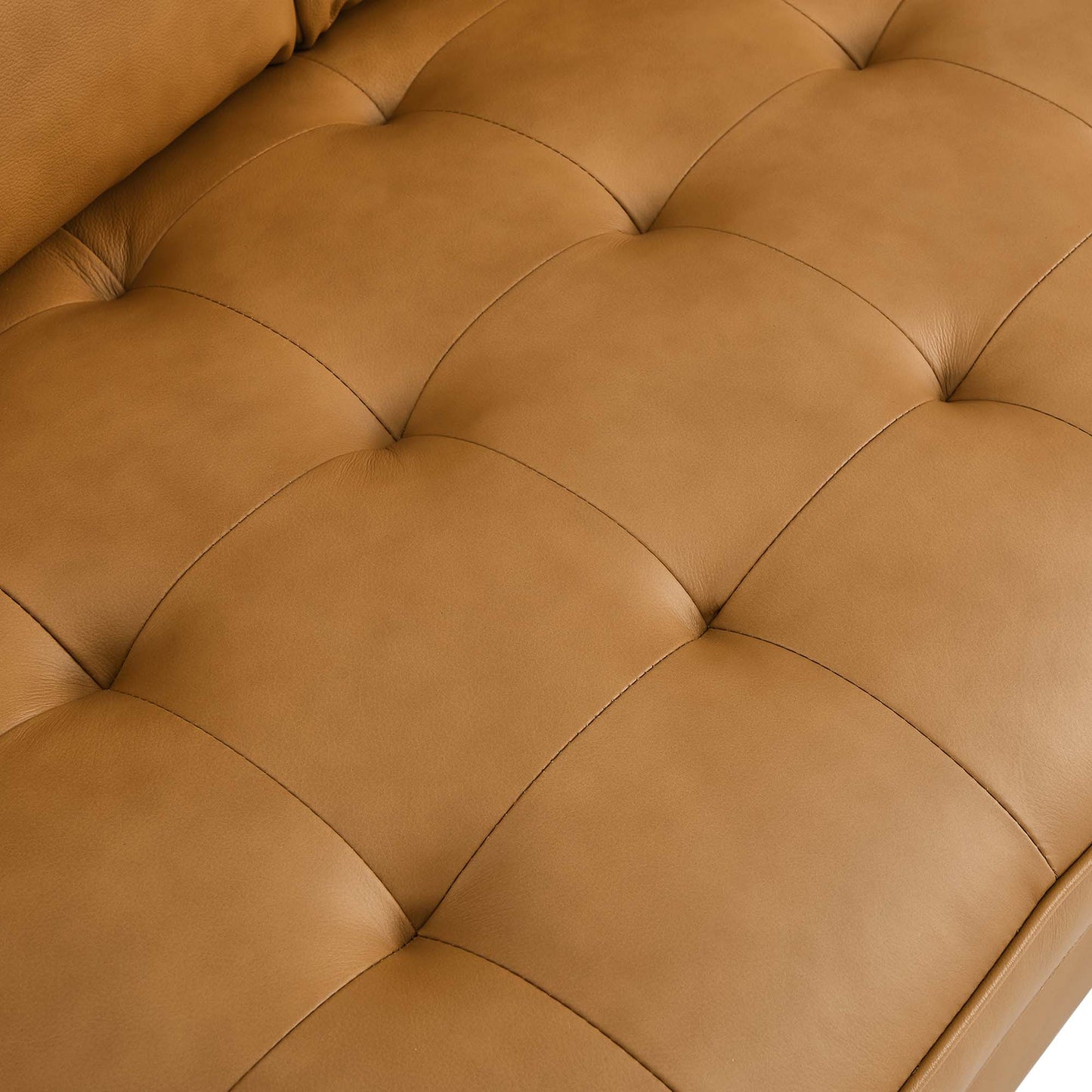 Modway Outlet Valour Leather Loveseat by Modway  Living Room Furniture Tan - EEI-5870-TAN