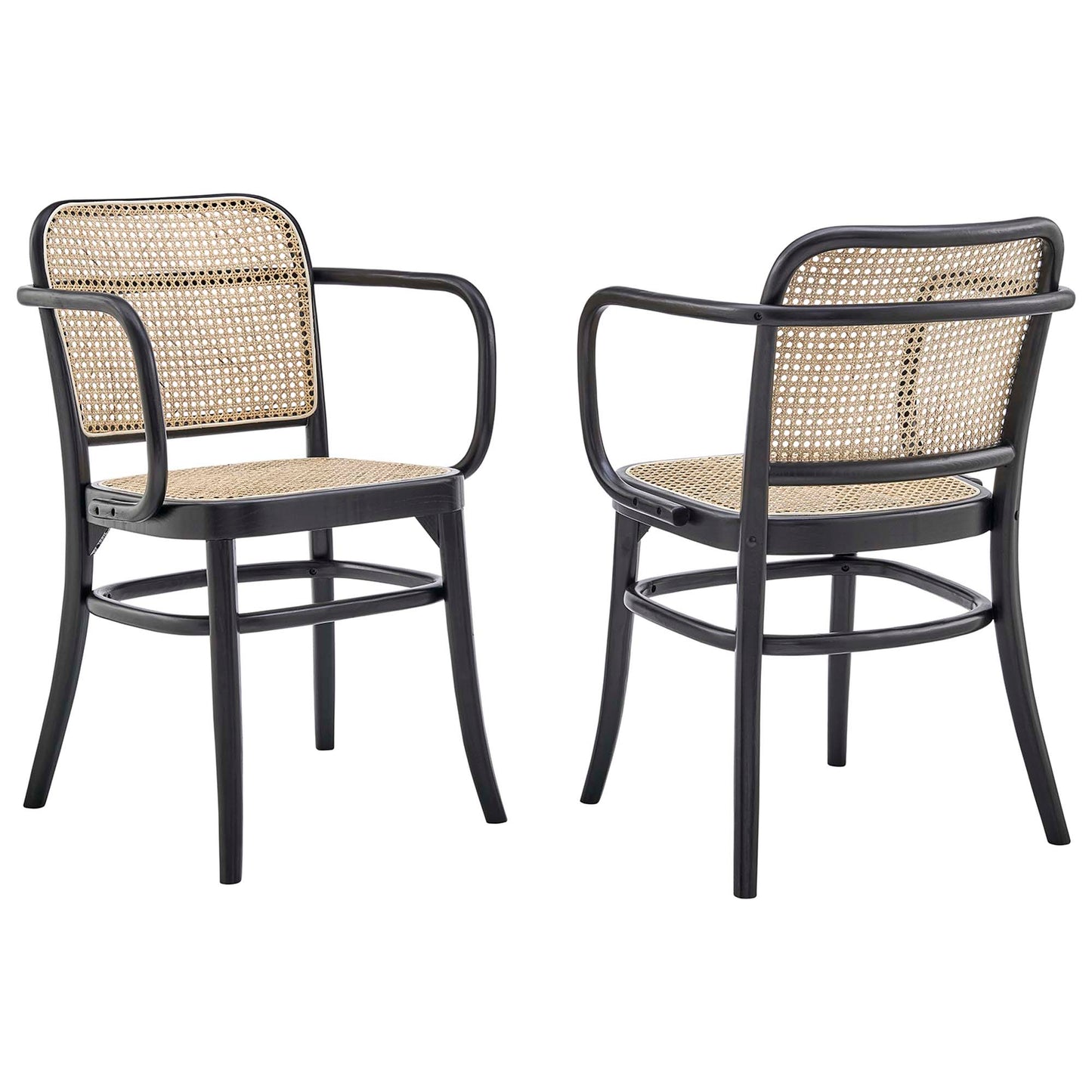 Modway Outlet Winona Wood Dining Chair Set of 2 by Modway  Bar and Dining Furniture Black - EEI-6076-BLK