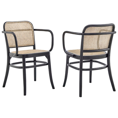 Modway Outlet Winona Wood Dining Chair Set of 2 by Modway  Bar and Dining Furniture Black - EEI-6076-BLK