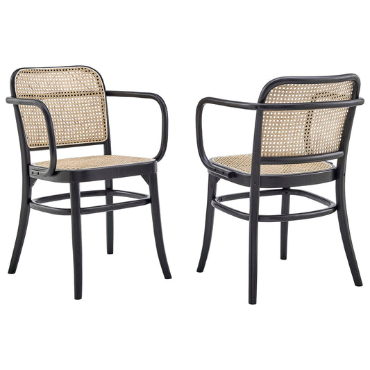 Modway Outlet Winona Wood Dining Chair Set of 2 by Modway  Bar and Dining Furniture Black - EEI-6076-BLK
