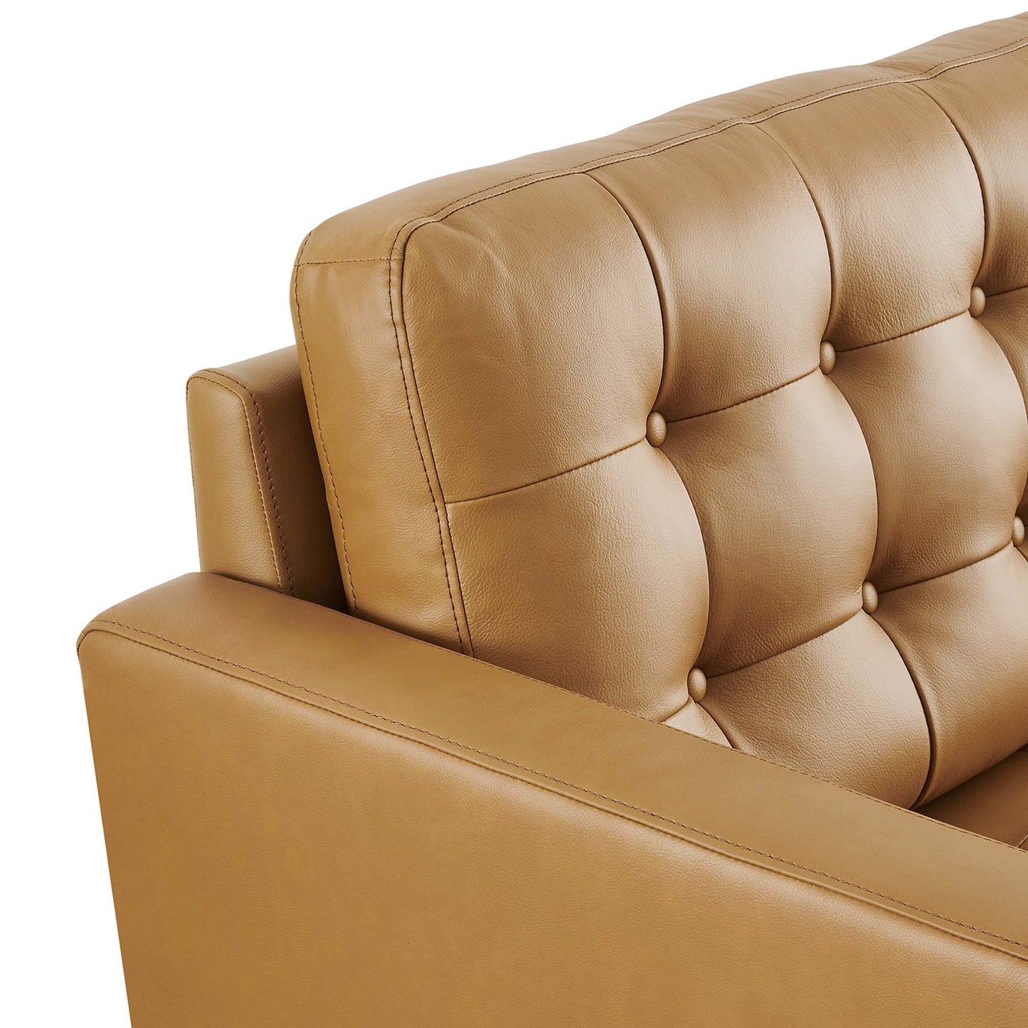 Modway - Exalt Tufted Leather Loveseat by Modway  Living Room Sofas and Armchairs Brown - EEI-6100-TAN