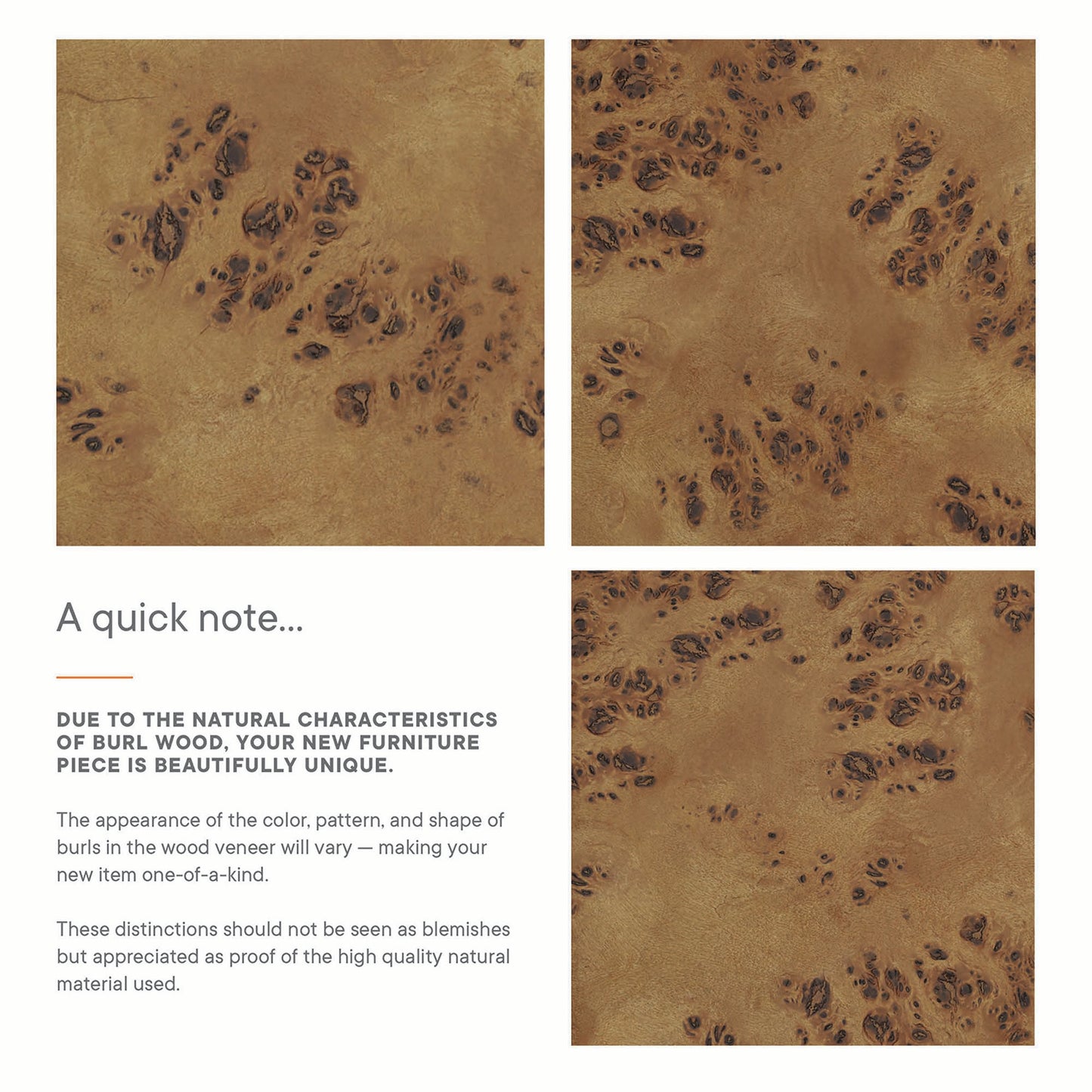 Modway - Elysian 18" Wood Bathroom Vanity Cabinet (Sink Basin Not Included) by Modway  Bathroom Vanities Brown - EEI-6136-BRN