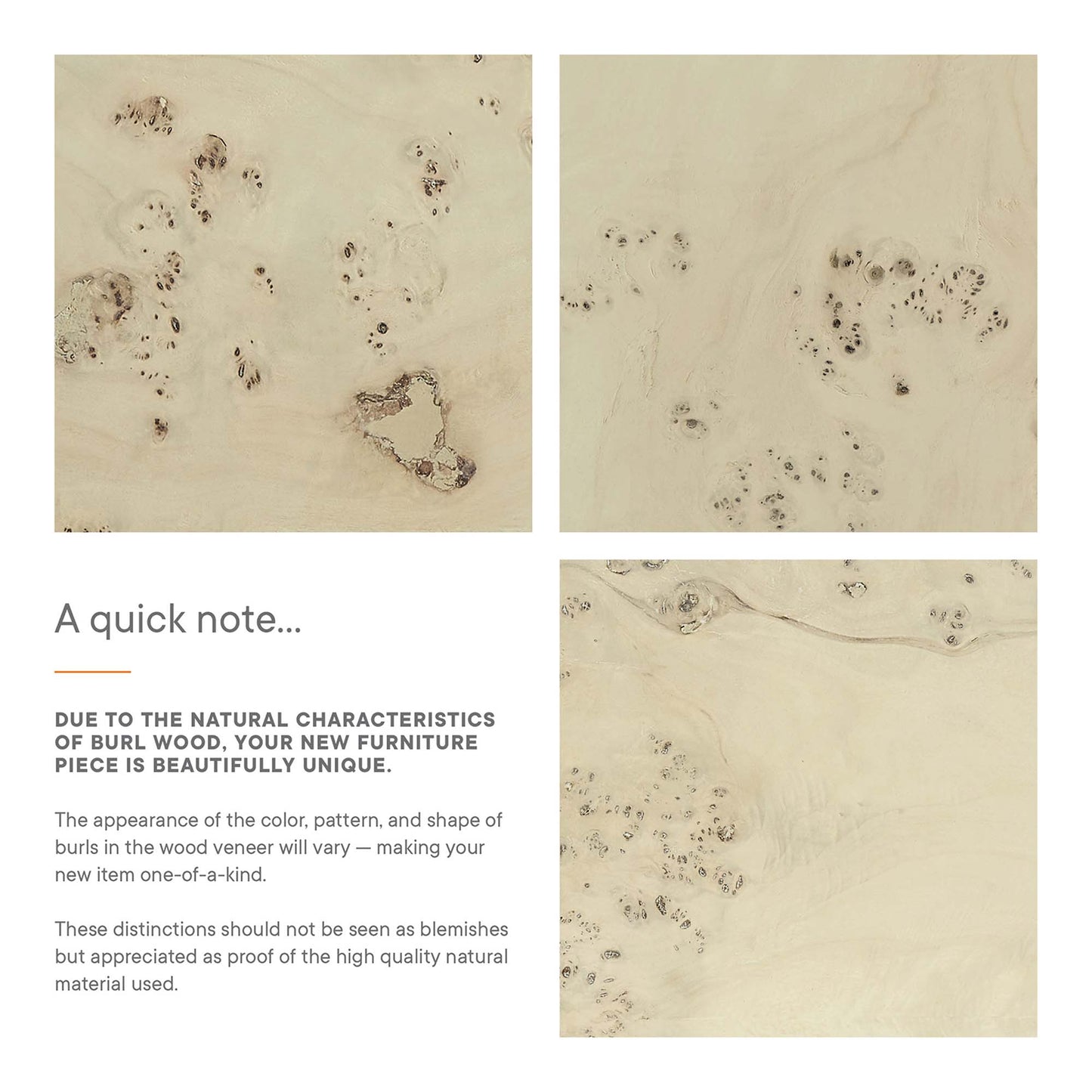 Modway - Cosmos 35" Round Burl Wood Coffee Table by Modway  Living Room Tables Brown - EEI-6274-BLB