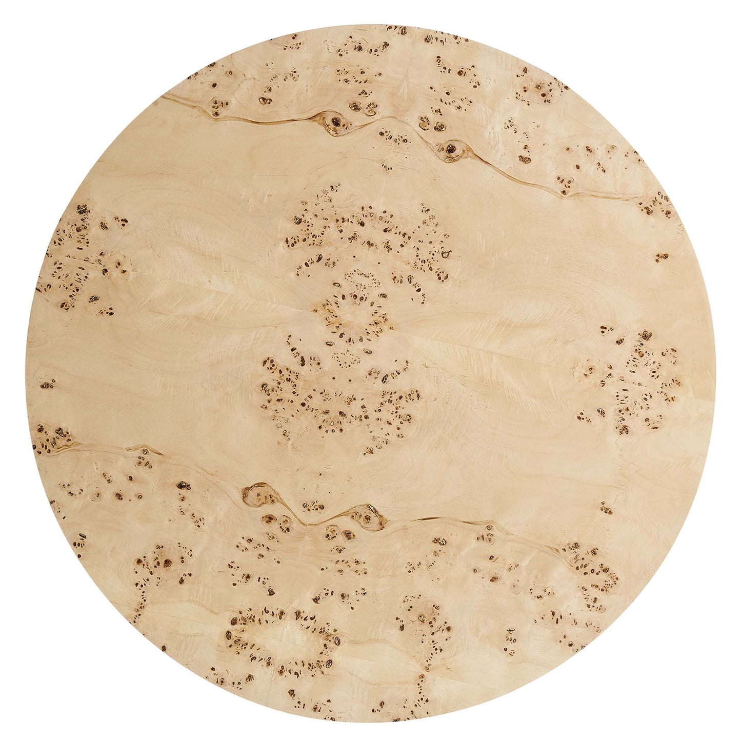 Modway - Cosmos 35" Round Burl Wood Coffee Table by Modway  Living Room Tables Brown - EEI-6274-NAB