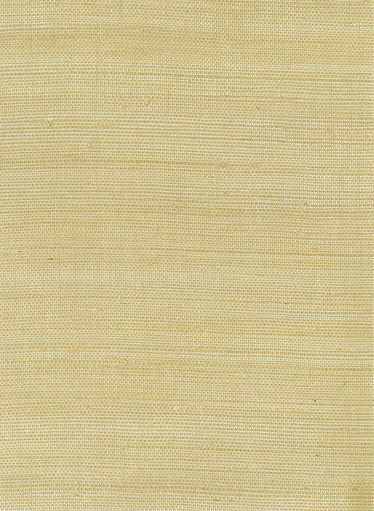 Seabrook Designs Natural Resource Sisal Grasscloth Contemporary Silver Metallic Sidewall - EL312X