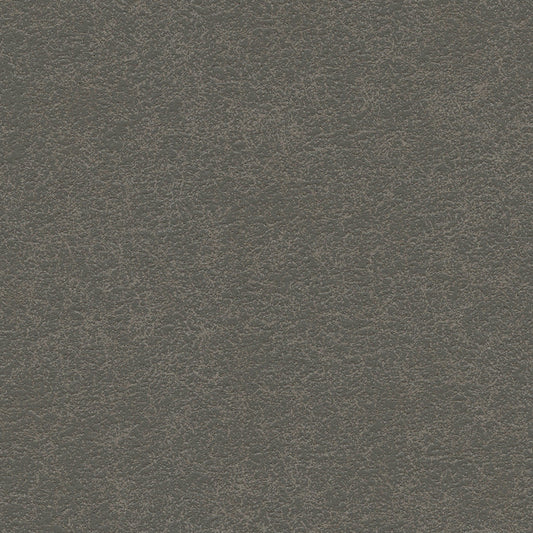 NICHOLASJOHN INC NJ-RICHARD Granola Transitional,Contemporary,Distressed,Organic   Fabric - NJ25-908