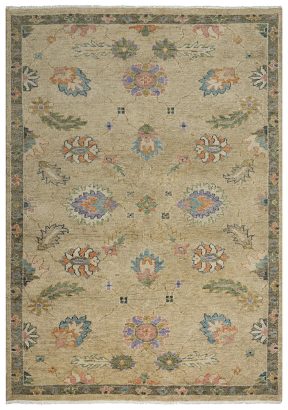 Envision Traditional rug, 6' x 9'.