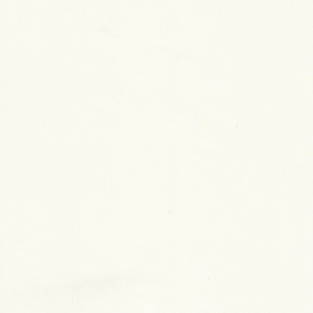 STOUT TEXTILES  MULTIPURPOSE,TEXTURE TRADITIONAL, SOLID EGGSHELL,IVORY   - ERVI-3