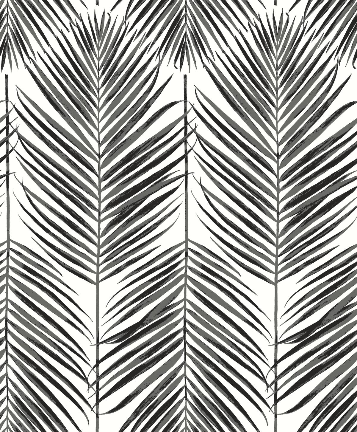 Etten Studios Etten Studios Online Marina Palm Botanical Coastal Black Matte Sidewall - ET10735