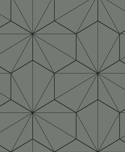 Etten Studios Etten Studios Online Hedron Geometric Geometric Contemporary Grey Matte Sidewall - ET11305